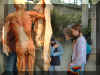 body_skin.jpg (89515 bytes)